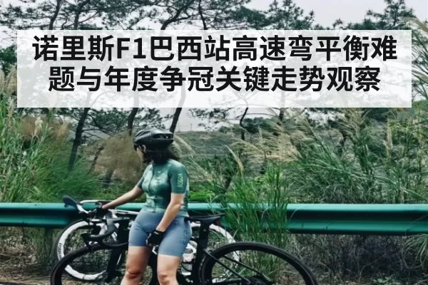 诺里斯F1巴西站高速弯平衡难题与年度争冠关键走势观察